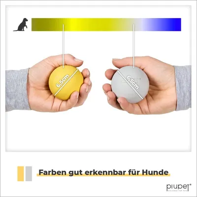 PiuPet® Hundebälle bissfest I 6,5cm ⌀ I Inkl. Beutel I 2er Set