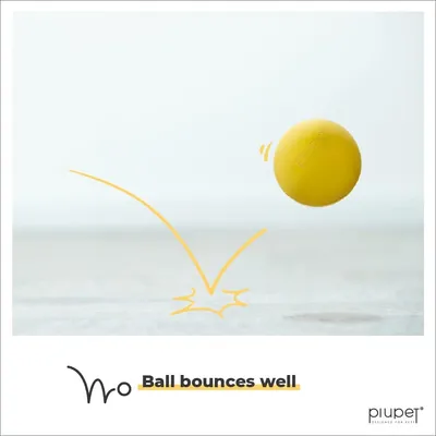 PiuPet® Balle pour Chien I 6,5cm I Rebondissante I Set de 2 Jouets Chien