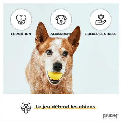 PiuPet® Balle pour Chien I 6,5cm I Rebondissante I Set de 2 Jouets Chien