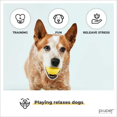 PiuPet® Balle pour Chien I 6,5cm I Rebondissante I Set de 2 Jouets Chien