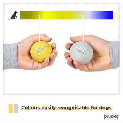 PiuPet® Balle pour Chien I 6,5cm I Rebondissante I Set de 2 Jouets Chien