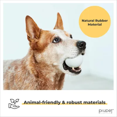 PiuPet® Balle pour Chien I 6,5cm I Rebondissante I Set de 2 Jouets Chien