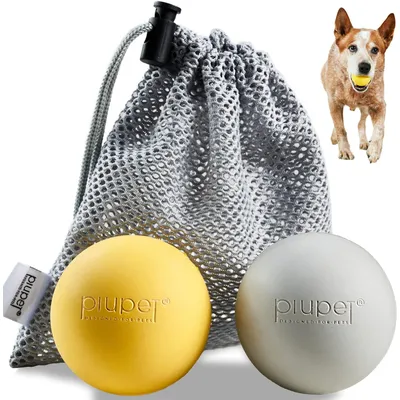 PiuPet® Balle pour Chien I 6,5cm I Rebondissante I Set de 2 Jouets Chien