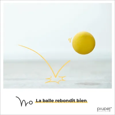 PiuPet® Balle pour Chien I 6,5cm I Rebondissante I Set de 2 Jouets Chien