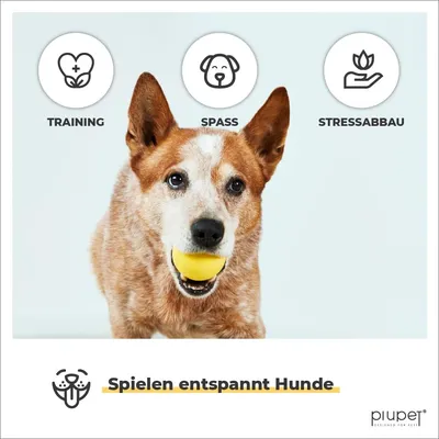 PiuPet® Hundebälle bissfest I 6,5cm ⌀ I Inkl. Beutel I 2er Set