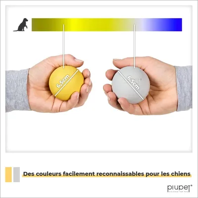 PiuPet® Balle pour Chien I 6,5cm I Rebondissante I Set de 2 Jouets Chien