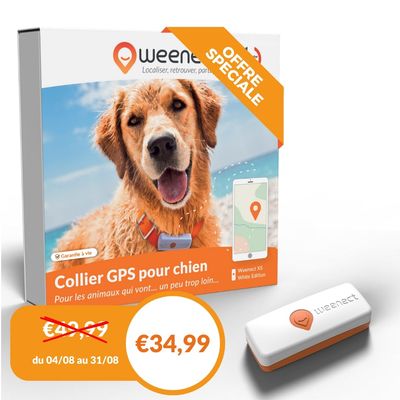 Weenect XS - Mini GPS pour chien
