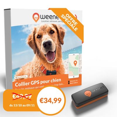 Weenect XS - Mini GPS pour chien