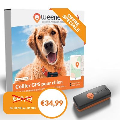 Weenect XS - Mini GPS pour chien