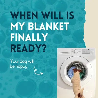 nimo® lessive pour vêtements de chien