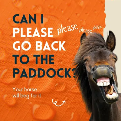 nimo® spray imperméabilisant pour couvertures de chevaux