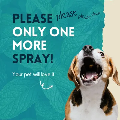 nimo® spray dentaire