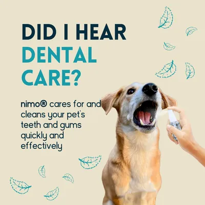 nimo® spray dentaire