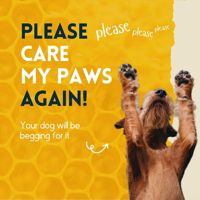 nimo® baume pour les pattes des animaux domestiques