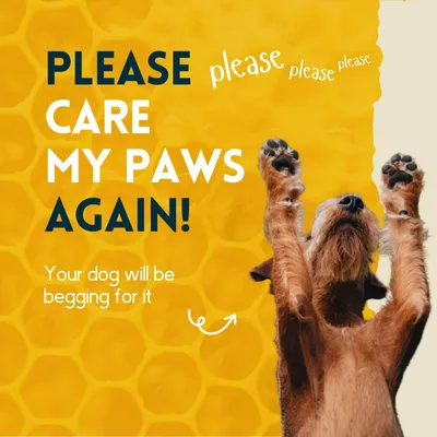 nimo® baume pour les pattes des animaux domestiques