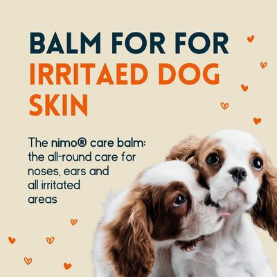 nimo® baume de soin pour chiens