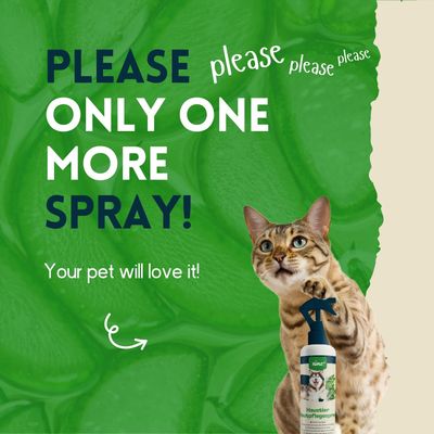 nimo® spray de soin pour la peau des animaux demestiques