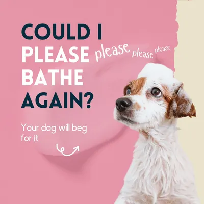 nimo® shampooing pour chiens sensitif