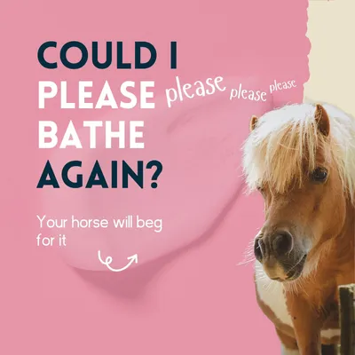 nimo® shampooing pour chevaux sensitif