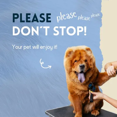 nimo® spray de soin du pelage à la noix de coco pour chiens et chats