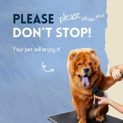 nimo® spray de soin du pelage à la noix de coco pour chiens et chats