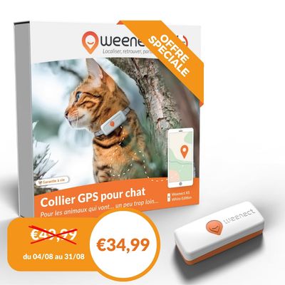 Weenect XS - Mini GPS pour chat