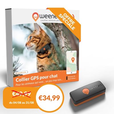 Weenect XS - Mini GPS pour chat