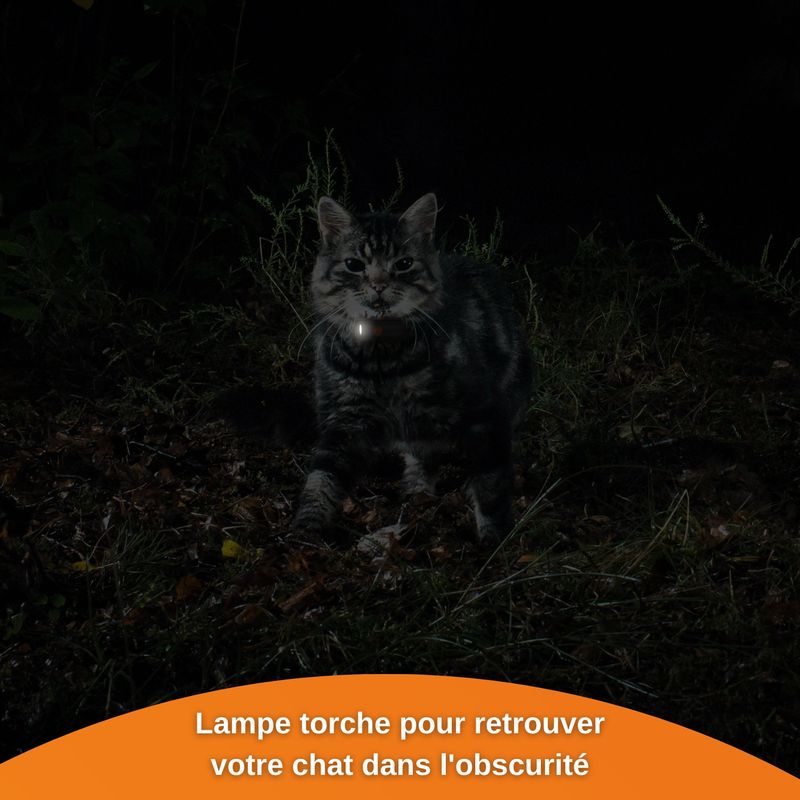 Weenect XS - Mini GPS pour chat