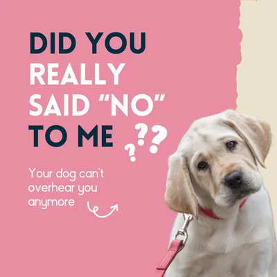 nimo® nettoyant pour oreilles