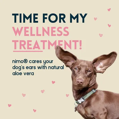 nimo® nettoyant pour oreilles