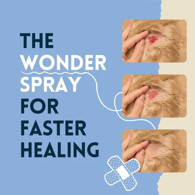 nimo® spray cicatrisant pour animaux domestique