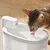 AstroPet Fontaine sans fil pour animaux domestiques Pisces Series