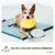 PiuPet® Frisbee Chien I Set de 2 I 22cm I Jouet Résistant & Flexible