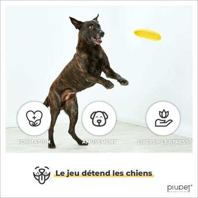 PiuPet® Frisbee Chien I Set de 2 I 22cm I Jouet Résistant & Flexible
