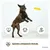 PiuPet® Frisbee Chien I Set de 2 I 22cm I Jouet Résistant & Flexible PiuPet® Frisbee Chien I Set de 2 I 22cm I Jouet Résistant & Flexible