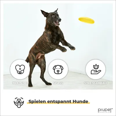 PiuPet® Frisbee Chien I Set de 2 I 22cm I Jouet Résistant & Flexible PiuPet® Frisbee Chien I Set de 2 I 22cm I Jouet Résistant & Flexible