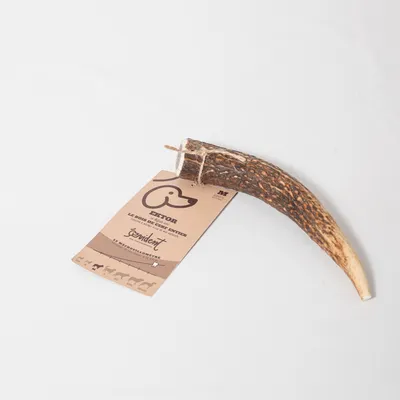 Evident Bois de Cerf Entier