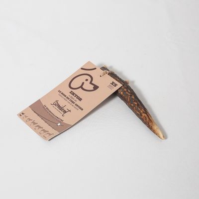 Evident Bois de Cerf Entier Taille XS