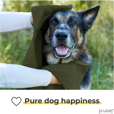 PiuPet® Serviette Microfibre pour Chien I Lingette Nettoyante
