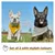 PiuPet® Bandanas pour Chiens I Lot de 2 I Jaune/Gris I Accessoires Chiens