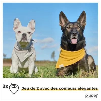 PiuPet® Bandanas pour Chiens I Lot de 2 I Jaune/Gris I Accessoires Chiens