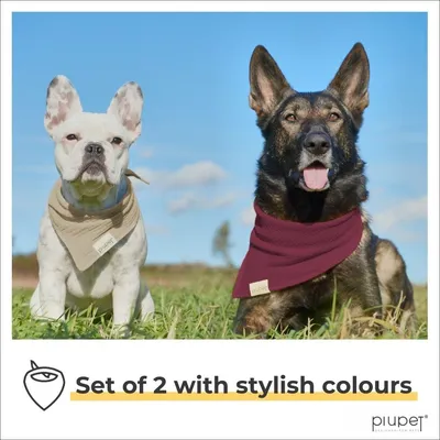 PiuPet® Bandanas pour Chiens I Lot de 2 I Rouge/Beige I Accessoires Chiens