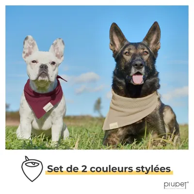 PiuPet® Bandanas pour Chiens I Lot de 2 I Rouge/Beige I Accessoires Chiens