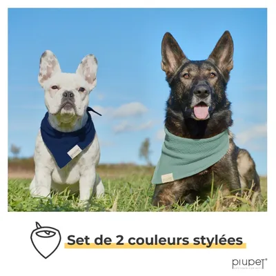 PiuPet® Bandanas pour Chiens – Lot de 2 Bleu/Turquoise | Accessoires