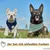 PiuPet® Hundehalstuch I 2er Set Hundehalstücher I Hundezubehör