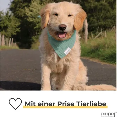 PiuPet® Hundehalstuch I 2er Set Hundehalstücher I Hundezubehör