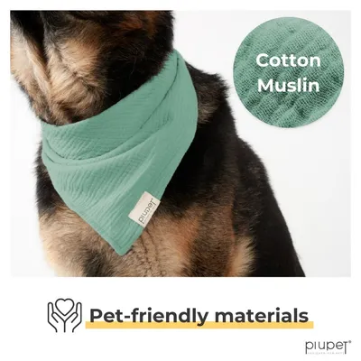 PiuPet® Bandanas pour Chiens – Lot de 2 Bleu/Turquoise | Accessoires
