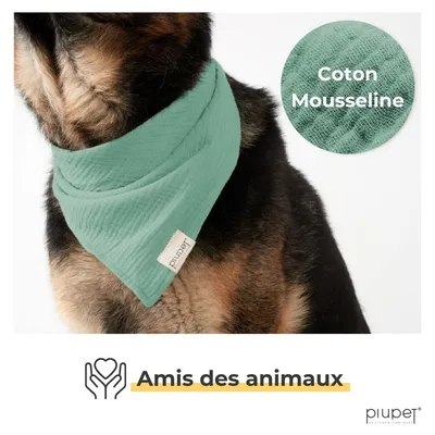 PiuPet® Bandanas pour Chiens – Lot de 2 Bleu/Turquoise | Accessoires