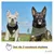 PiuPet® Bandanas pour Chiens I Lot de 2 I Noir/Vert I Accessoires Chiens