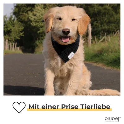 PiuPet® Hundehalstuch I 2er Set Hundehalstücher I Hundezubehör